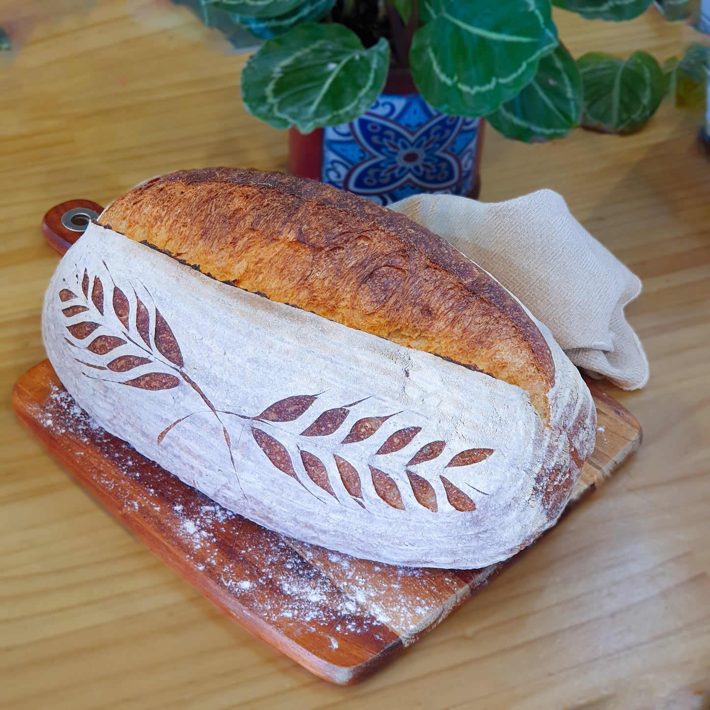 Large Crusty White Sourdough