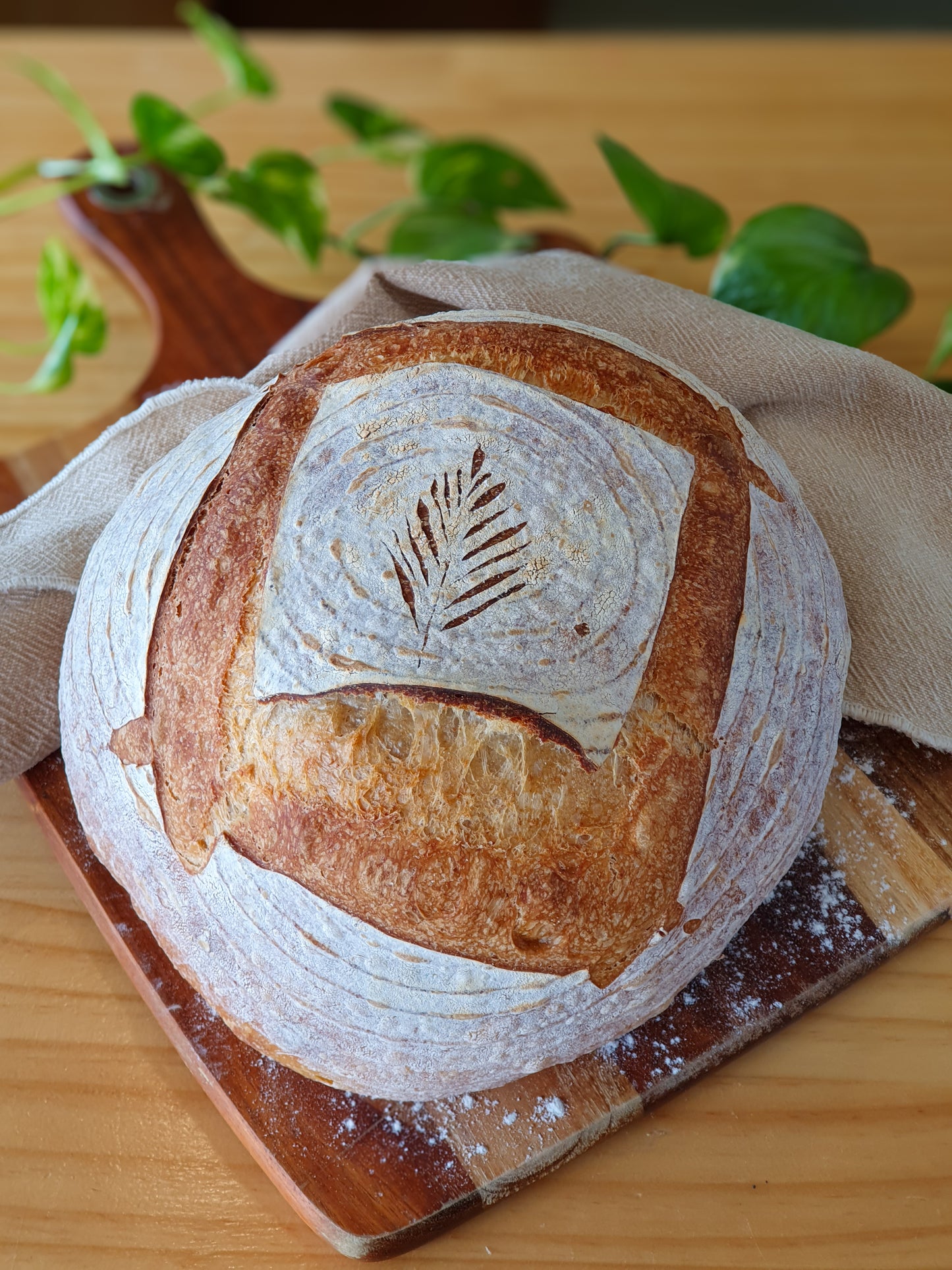 Crusty White Sourdough