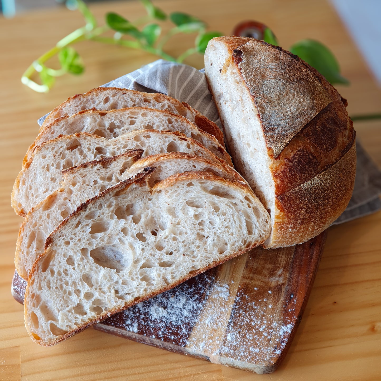 Crusty White Sourdough